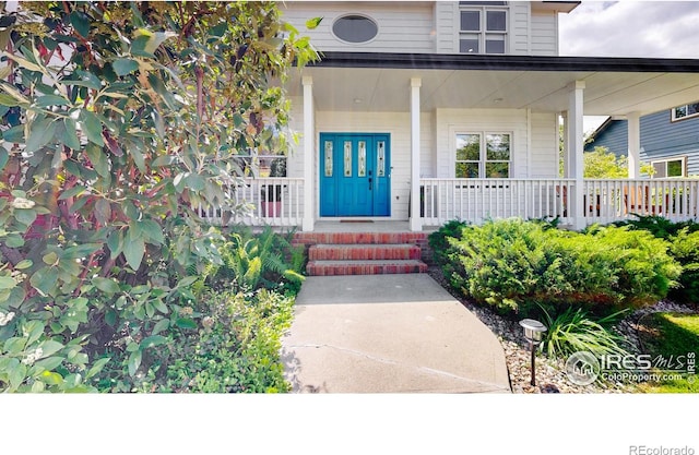 7945 Bayside Dr, Fort Collins, CO 80528