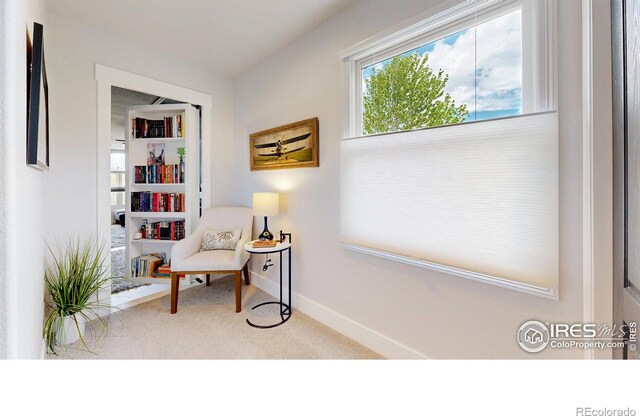 7945 Bayside Dr, Fort Collins, CO 80528