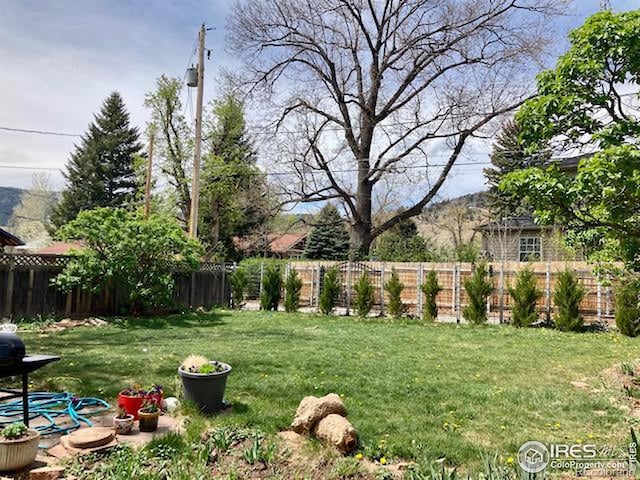 3201 Broadway St, Boulder, CO 80304 - view of yard