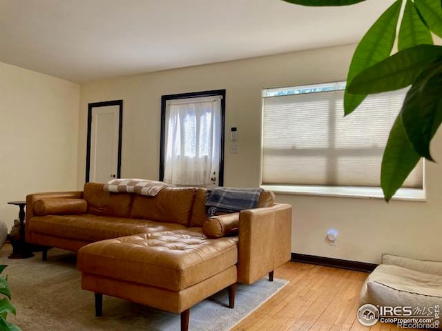 3201 Broadway St, Boulder, CO 80304 - living area with light wood-type flooring and baseboards