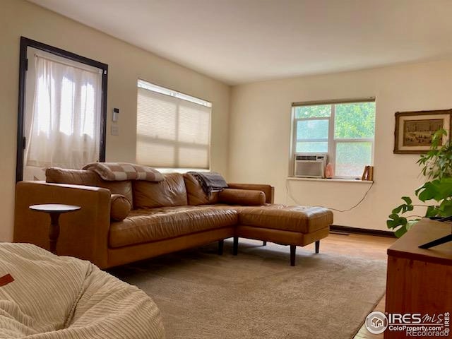 3201 Broadway St, Boulder, CO 80304 - living area with baseboards and wood finished floors