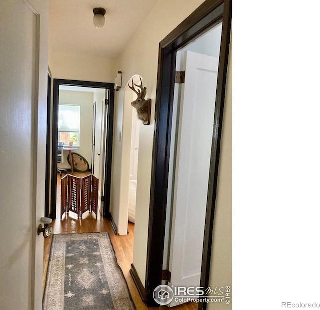 3201 Broadway St, Boulder, CO 80304 - hallway with wood finished floors