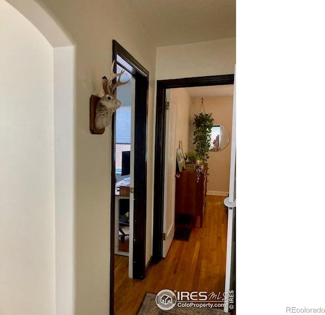 3201 Broadway St, Boulder, CO 80304 - hall featuring wood finished floors and baseboards