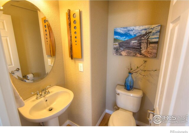 705 Rawlins Way, Lafayette, CO 80026 - half bath with toilet and a sink