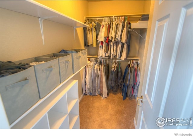 705 Rawlins Way, Lafayette, CO 80026 - spacious closet featuring carpet flooring