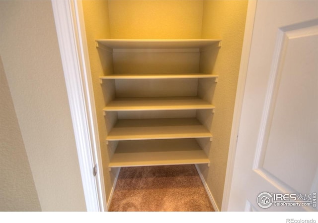 705 Rawlins Way, Lafayette, CO 80026 - view of closet