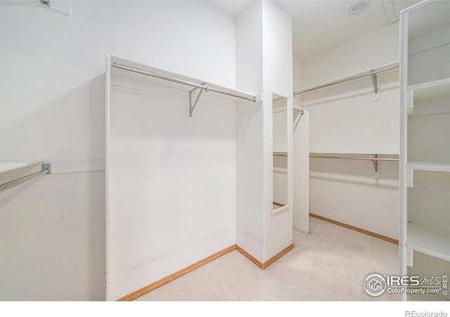 7902 Whitney Ct, Fort Collins, CO 80525 - photo 20