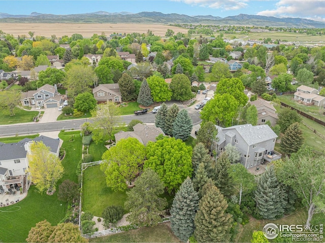7902 Whitney Ct, Fort Collins, CO 80525 - photo 37