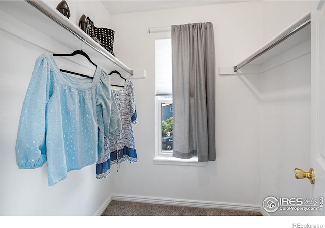 1215 Centaur Cir Unit A, Lafayette, CO 80026 - spacious closet featuring carpet floors