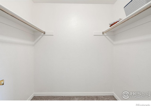 1215 Centaur Cir Unit A, Lafayette, CO 80026 - spacious closet featuring carpet floors