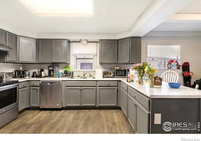 810 W Laurel St, Fort Collins, CO 80521 - kitchen with appliances with stainless steel finishes, gray cabinetry, a peninsula, a sink, and light wood finished floors