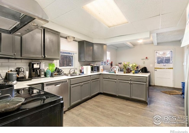 810 W Laurel St, Fort Collins, CO 80521 - kitchen featuring appliances with stainless steel finishes, a sink, gray cabinets, light wood-type flooring, and decorative backsplash