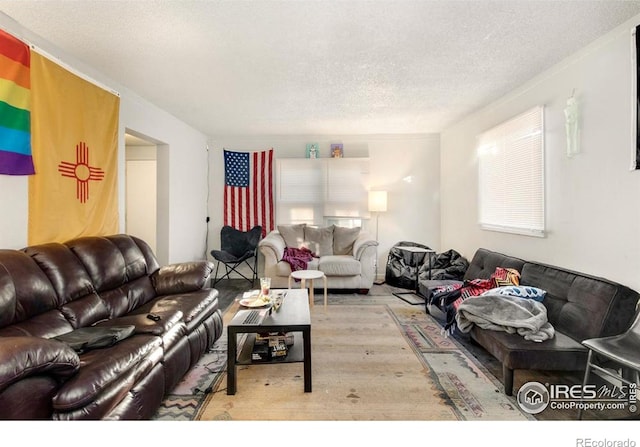 810 W Laurel St, Fort Collins, CO 80521 - living area featuring wood finished floors and a textured ceiling