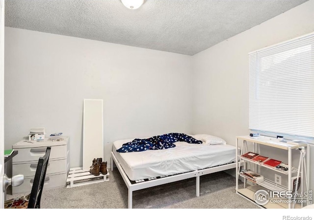 810 W Laurel St, Fort Collins, CO 80521 - bedroom with carpet and a textured ceiling