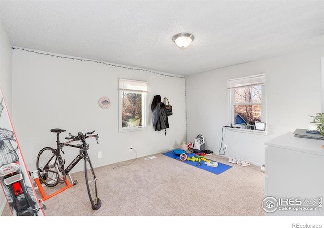 810 W Laurel St, Fort Collins, CO 80521 - recreation room with carpet flooring, plenty of natural light, and a textured ceiling