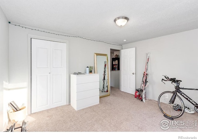 810 W Laurel St, Fort Collins, CO 80521 - game room with carpet floors and a textured ceiling