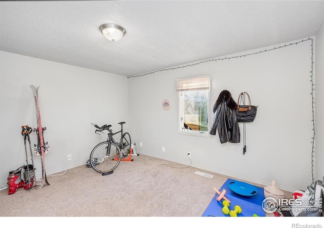 810 W Laurel St, Fort Collins, CO 80521 - playroom with carpet flooring and a textured ceiling
