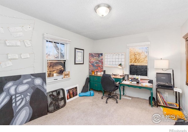 810 W Laurel St, Fort Collins, CO 80521 - carpeted office featuring plenty of natural light and a textured ceiling