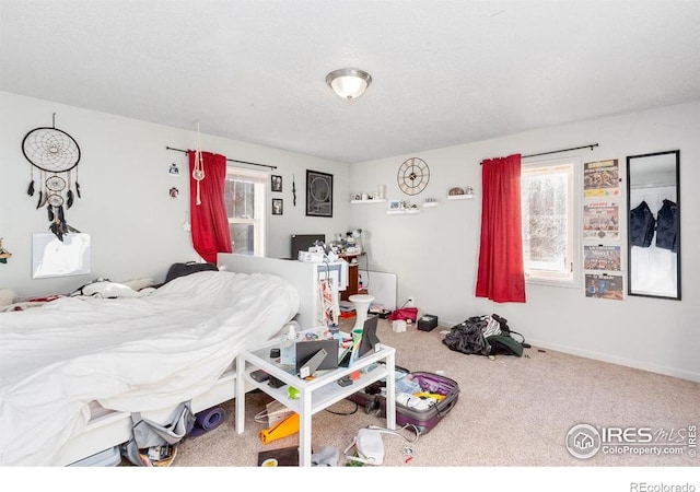 810 W Laurel St, Fort Collins, CO 80521 - view of carpeted bedroom