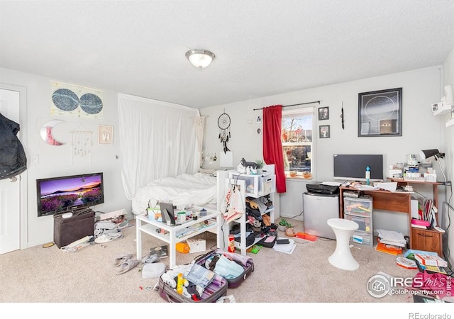 810 W Laurel St, Fort Collins, CO 80521 - view of carpeted bedroom