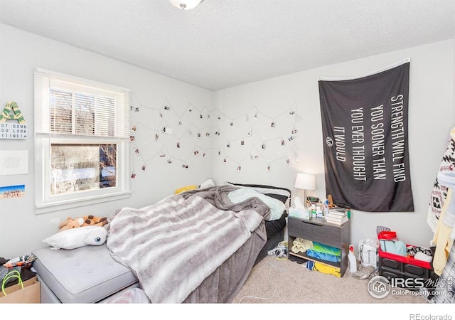 810 W Laurel St, Fort Collins, CO 80521 - bedroom featuring carpet and a textured ceiling