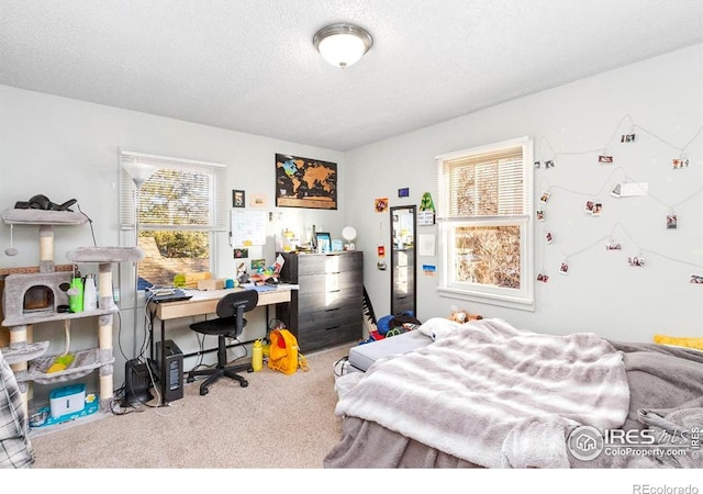 810 W Laurel St, Fort Collins, CO 80521 - bedroom with multiple windows, carpet, a desk, and a textured ceiling
