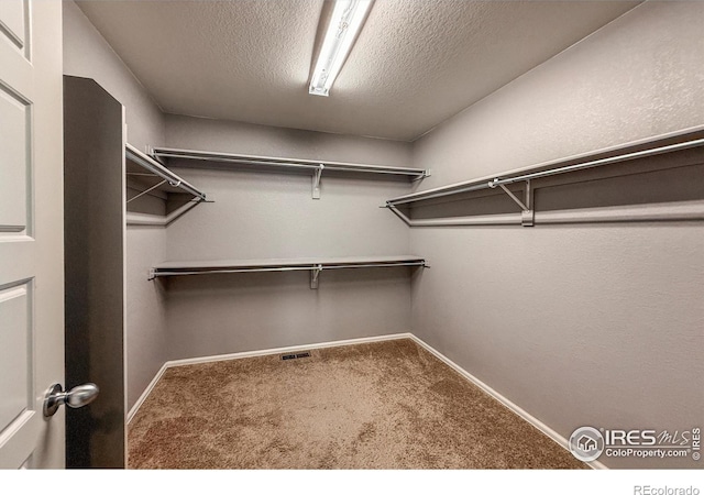 2190 Winding Dr, Longmont, CO 80504 - walk in closet featuring carpet