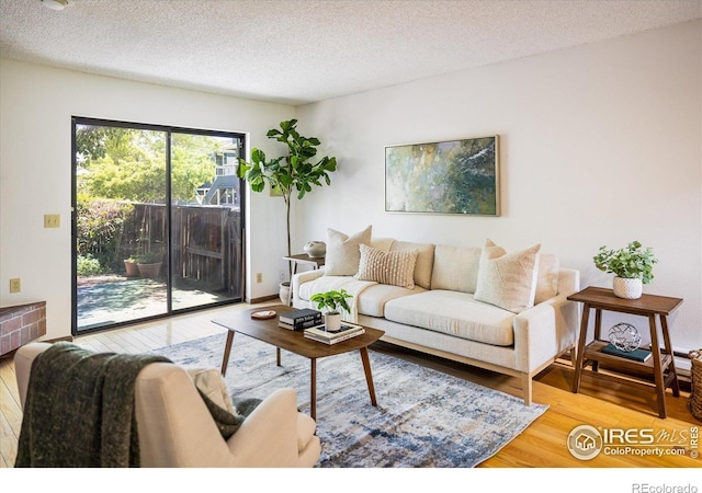 2725 Juniper Ave Unit 78, Boulder, CO 80304 - living area featuring wood finished floors, a textured ceiling, and radiator heating unit