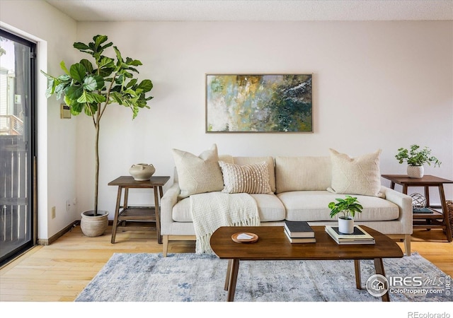 2725 Juniper Ave Unit 78, Boulder, CO 80304 - living room featuring light wood-type flooring