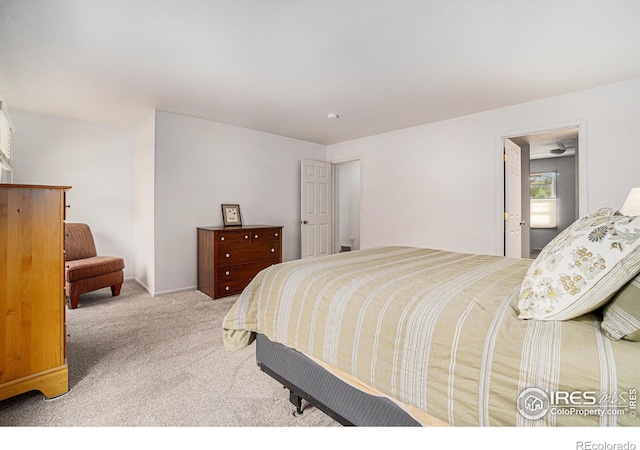 1119 Oakmont Ct, Fort Collins, CO 80525 - view of carpeted bedroom