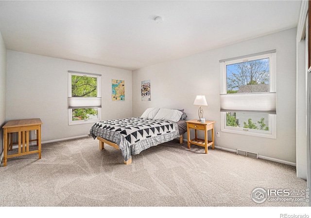 1119 Oakmont Ct, Fort Collins, CO 80525 - bedroom featuring multiple windows, carpet floors, and baseboards