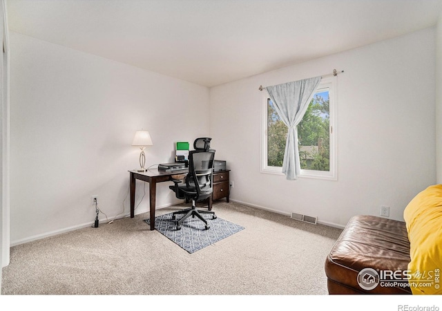 1119 Oakmont Ct, Fort Collins, CO 80525 - home office featuring carpet floors and baseboards