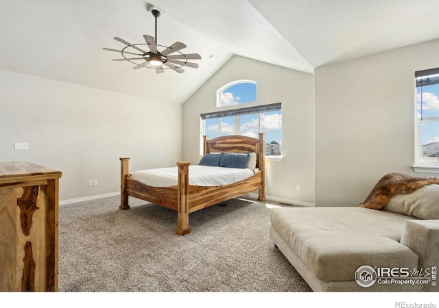 5433 Segundo Dr, Loveland, CO 80538 - photo 19