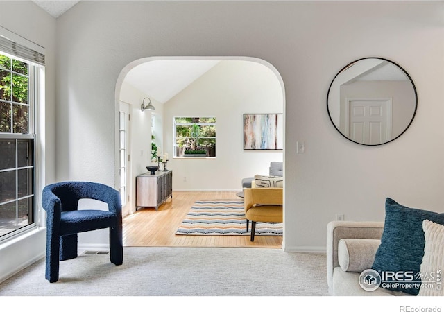 911 Homer Cir, Lafayette, CO 80026 - living area with arched walkways, carpet floors, lofted ceiling, healthy amount of natural light, and baseboards