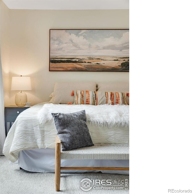 911 Homer Cir, Lafayette, CO 80026 - view of bedroom