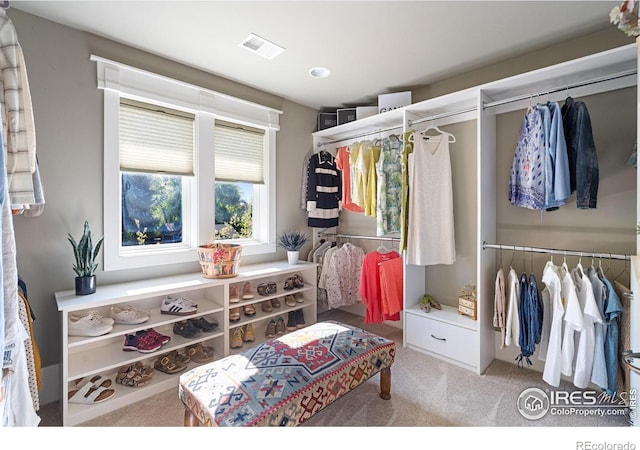 317 Wood St, Fort Collins, CO 80521 - spacious closet featuring carpet floors