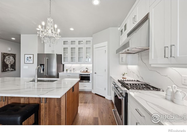1948 Tidewater Ln, Windsor, CO 80550 - kitchen with high end appliances, under cabinet range hood, a sink, dark wood-type flooring, and recessed lighting