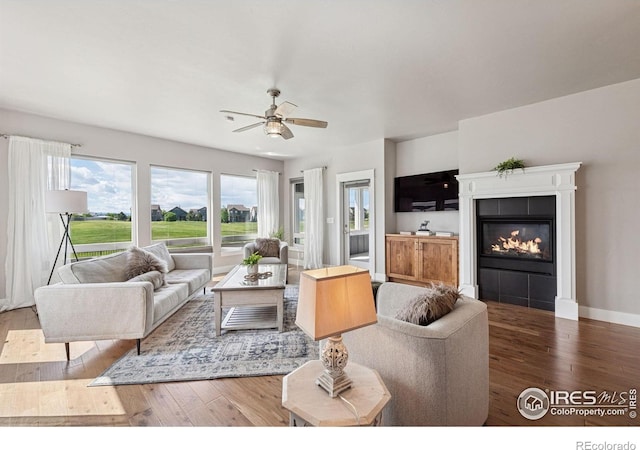 1948 Tidewater Ln, Windsor, CO 80550 - living room featuring wood-type flooring, ceiling fan, and healthy amount of natural light