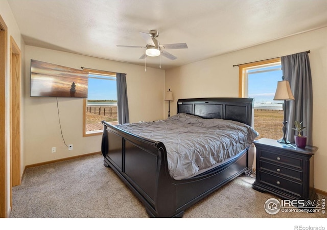2726 Vesta Ln, Wellington, CO 80549