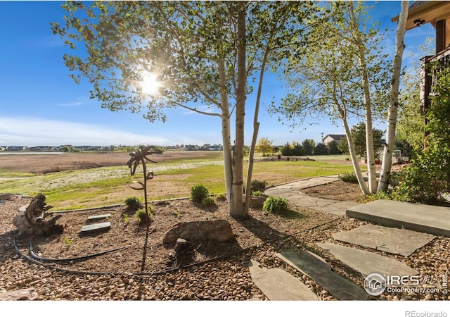 1213 Baldridge Dr, Severance, CO 80615