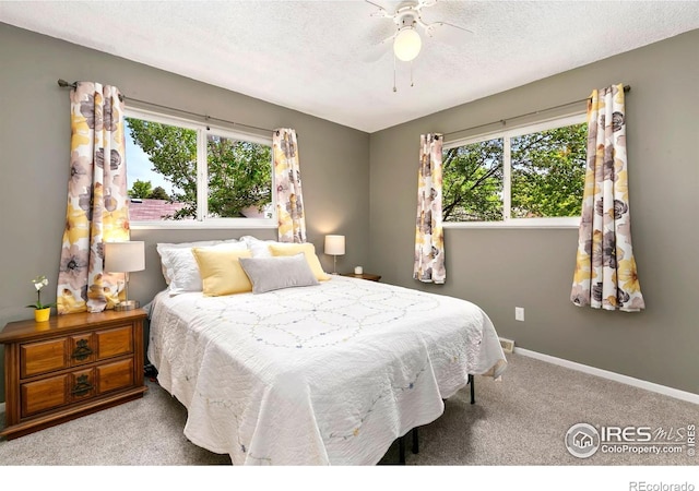 2507 Woodvalley Ct, Fort Collins, CO 80521 - photo 12
