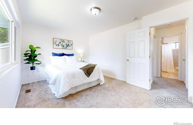 664 19th St SW, Loveland, CO 80537