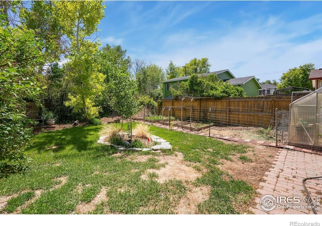 518 Whitmore Ct, Johnstown, CO 80534 - view of yard featuring a vegetable garden and a greenhouse