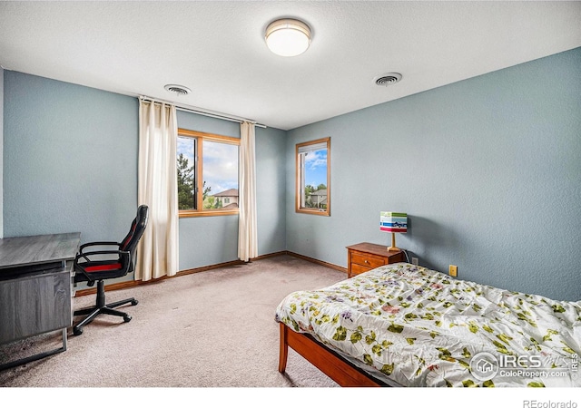 13971 Telluride Dr, Broomfield, CO 80020 - carpeted bedroom with baseboards and an office area