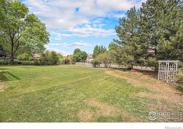 13971 Telluride Dr, Broomfield, CO 80020 - view of yard