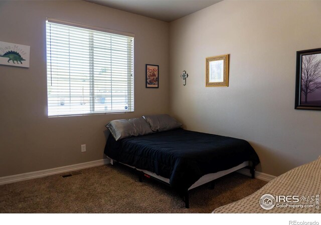 1531 61st Avenue Ct, Greeley, CO 80634 - photo 11