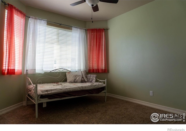 1531 61st Avenue Ct, Greeley, CO 80634 - photo 13
