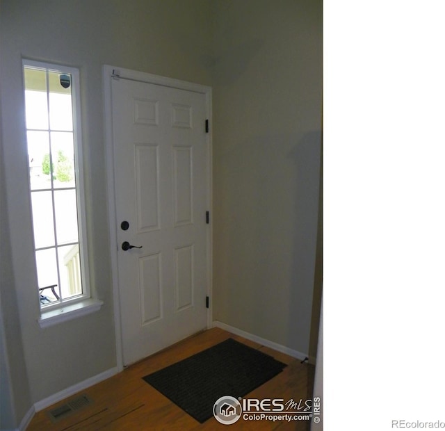 368 Mt Bross Ave, Severance, CO 80550 - entrance foyer featuring plenty of natural light, baseboards, and wood finished floors