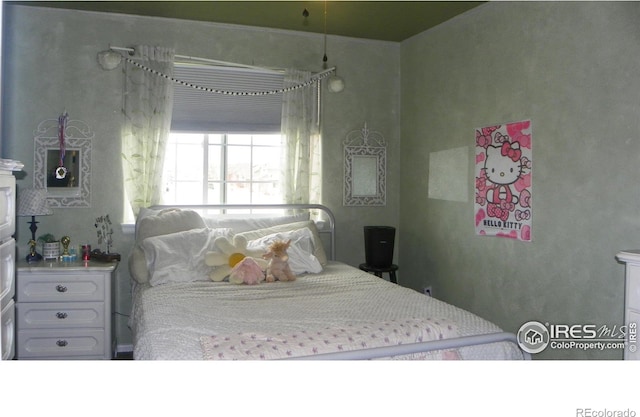368 Mt Bross Ave, Severance, CO 80550 - view of bedroom