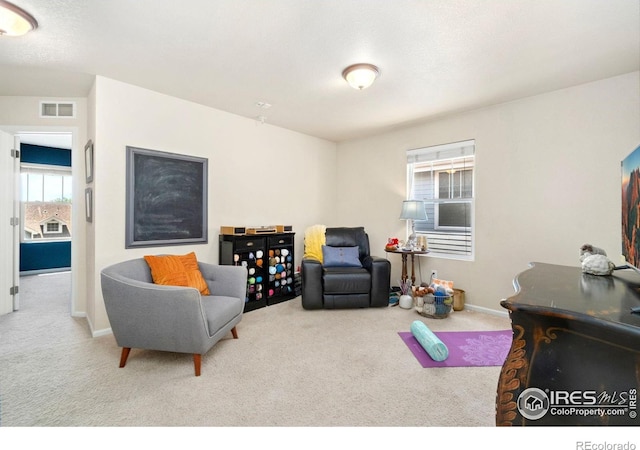2320 Clipper Way, Fort Collins, CO 80524 - living area with carpet floors and baseboards